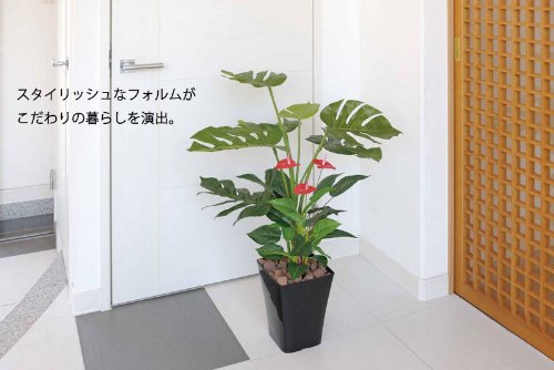 Amazon｜光触媒観葉植物 トラベラーズパーム1.1〔フロアタイプ(ミドル